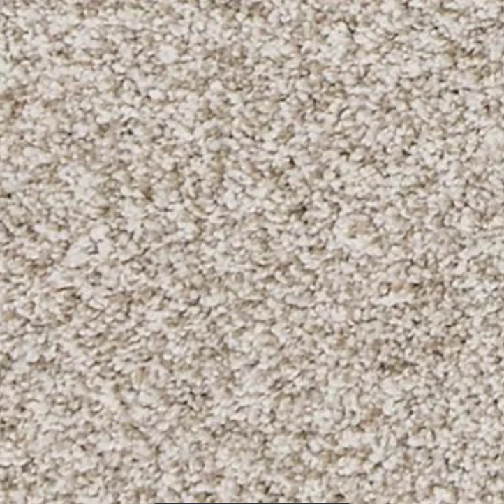 Canine Comfort carpet by Mohawk